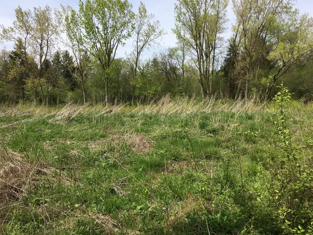$275,000 | Lot 4 East Mundhank Road, South Barrington, IL 60010