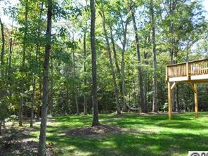 226 State Rd S-29-804 Fort Mill, SC 29707 - Photo 12 of 16 a view of a park that has large trees