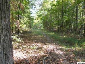 226 State Rd S-29-804 Fort Mill, SC 29707 - Photo 14 of 16 a big yard with lots of green space and trees