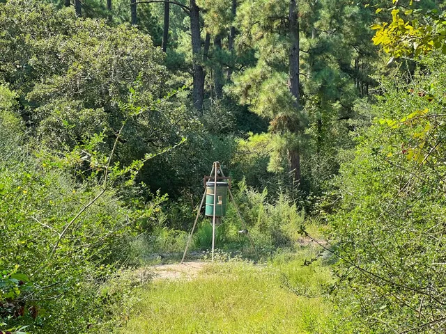a view of yard with swimming pool