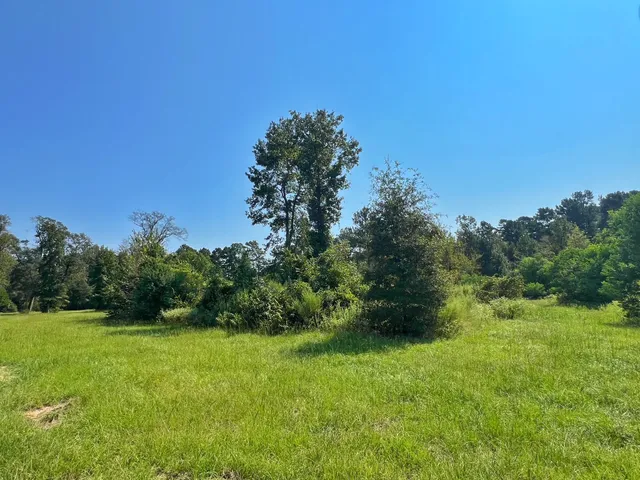 a view of green field with trees in the background