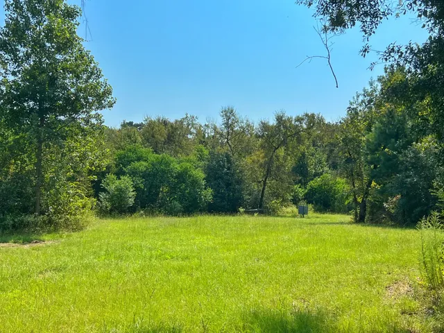 a view of yard with green space