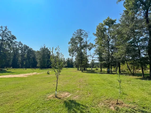 a view of field and trees in the background