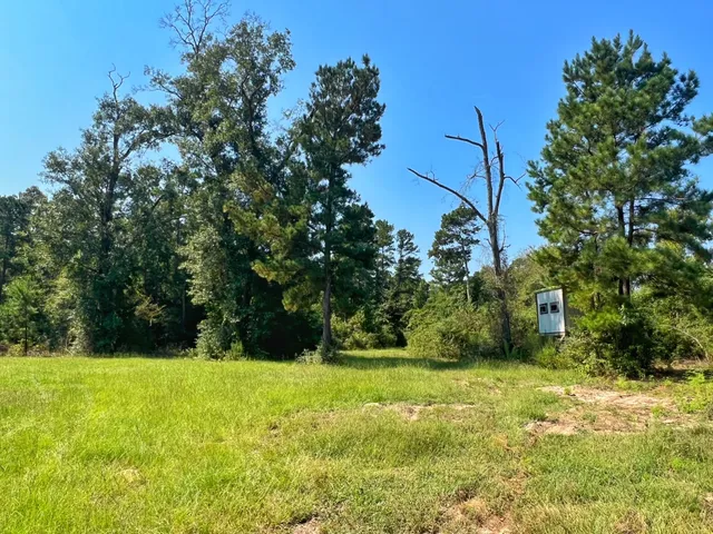 a swimming pool with trees in the background
