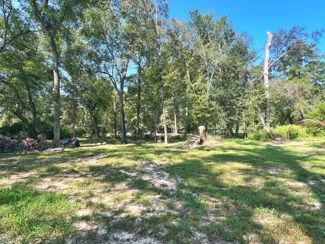 a view of a house with a backyard and a tree