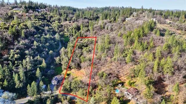 a view of a city with lush green forest