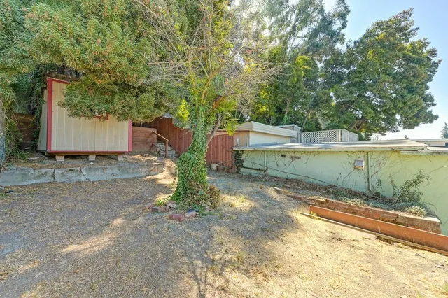 a view of a backyard