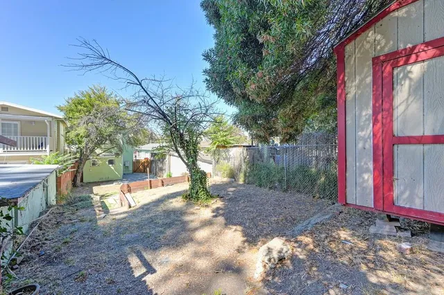 a view of a park with large trees