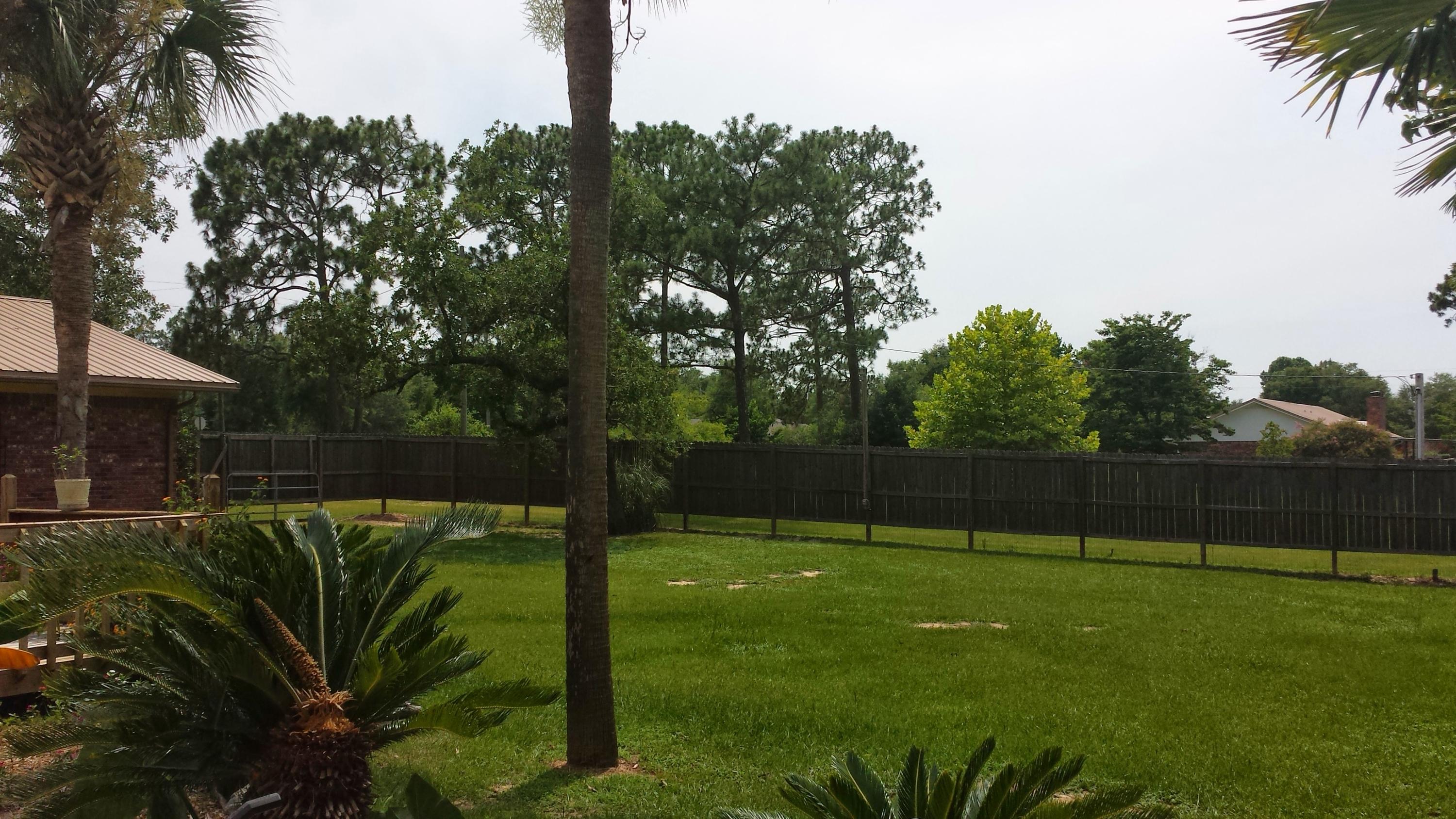 6047 Eden Square Crestview, FL 32539 - Photo 8 of 22 a view of a backyard