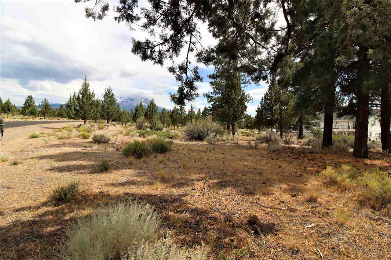 Lot 81 Archer Road Weed, CA 96094 - Photo 3 of 18 Gallery Image 3