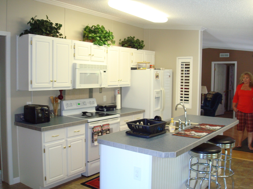 3162 Jae Valley Road Roanoke, VA 24014 - Photo 5 of 11 Kitchen