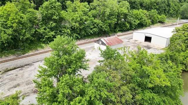 a view of a yard with plants