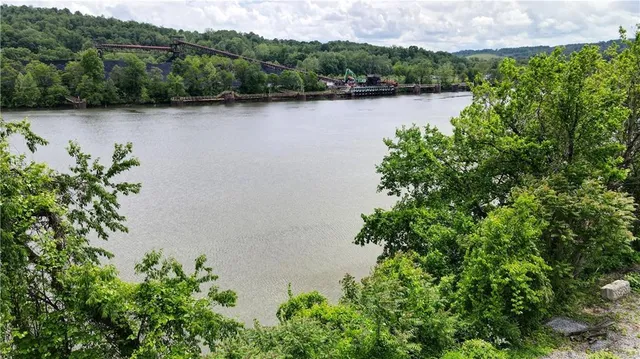 an aerial view of green landscape with trees houses and lake view
