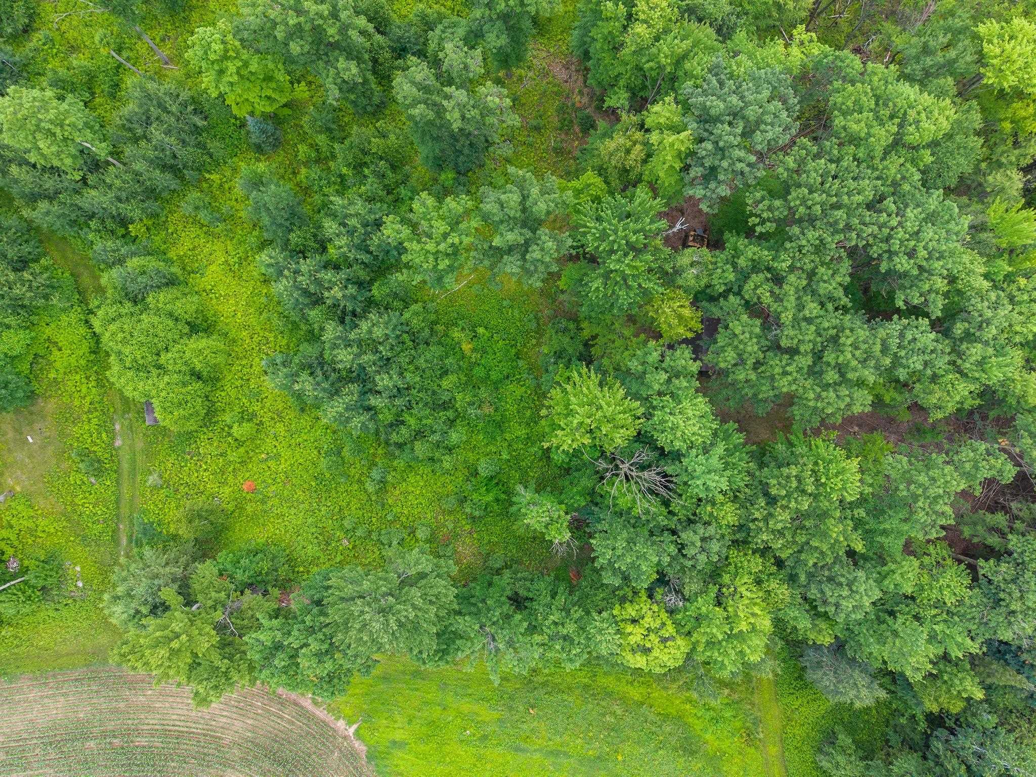 W5999 County Rd T Shawano, WI 54166 - Photo 30 of 38