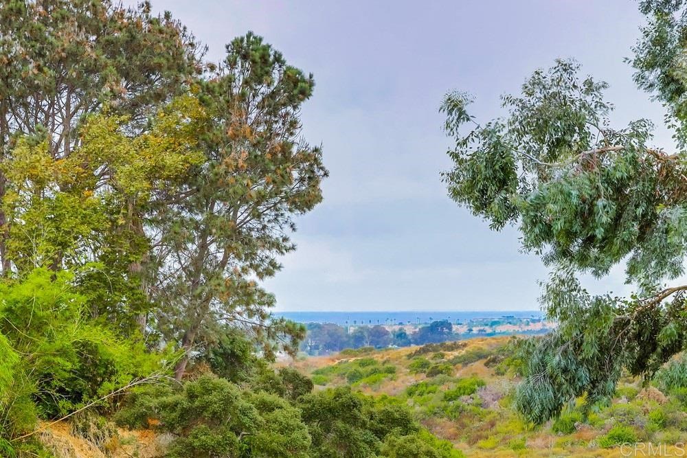 1748 Caudor Street Encinitas, CA 92024 - Photo 25 of 25