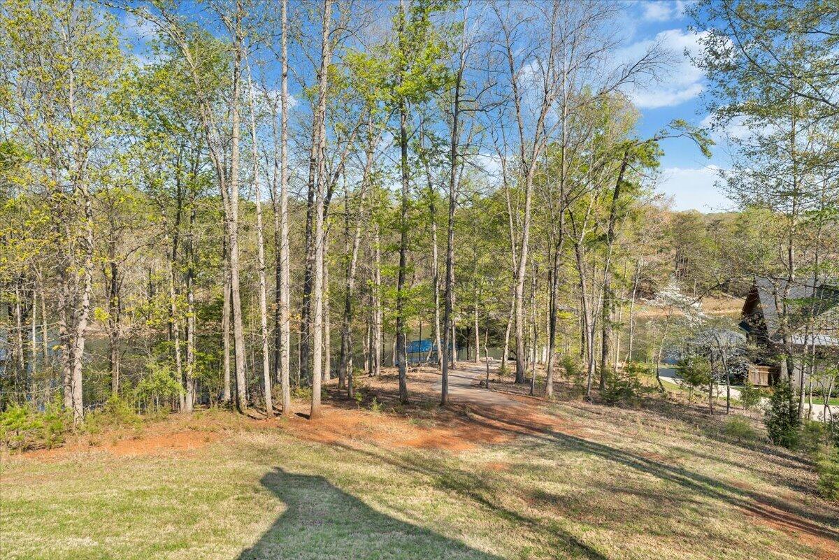 85 Cedar Bay Road Union Hall, VA 24176 - Photo 104 of 134 Yard