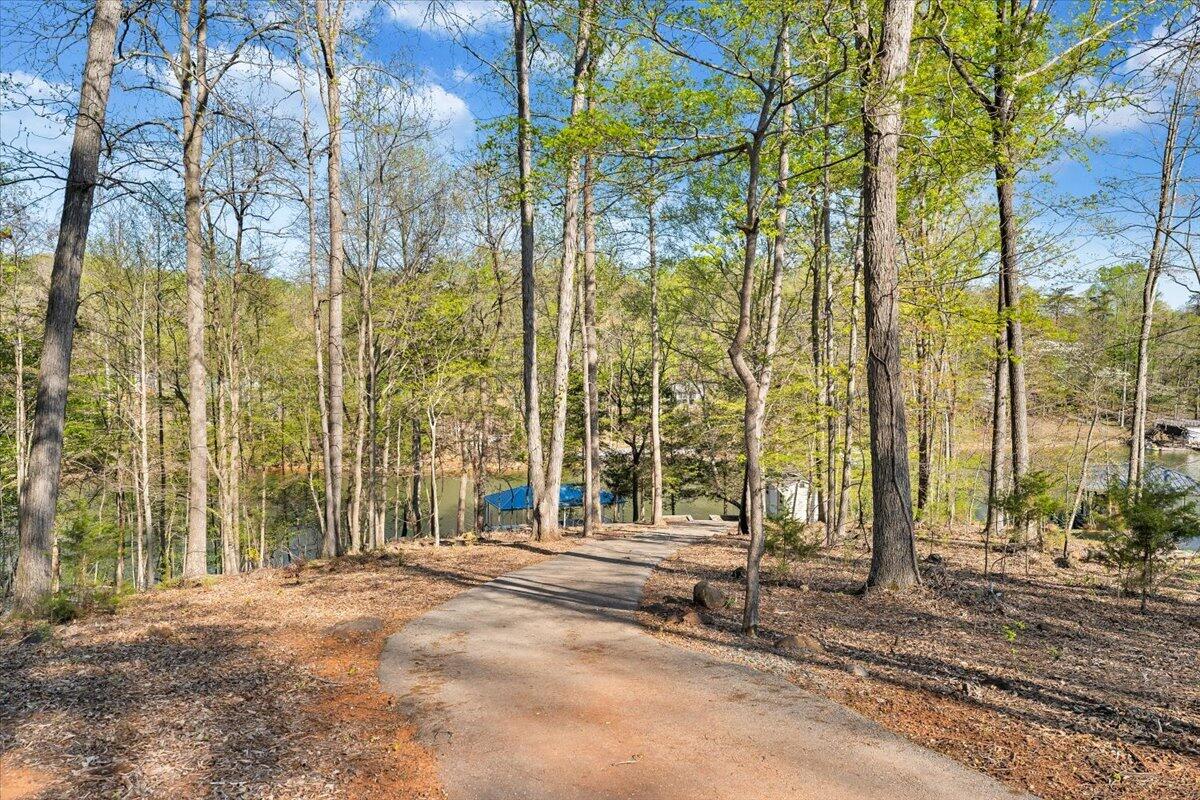 85 Cedar Bay Road Union Hall, VA 24176 - Photo 92 of 134 Path to Dock