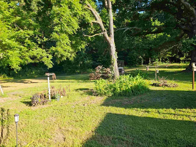 a view of a trees with a yard