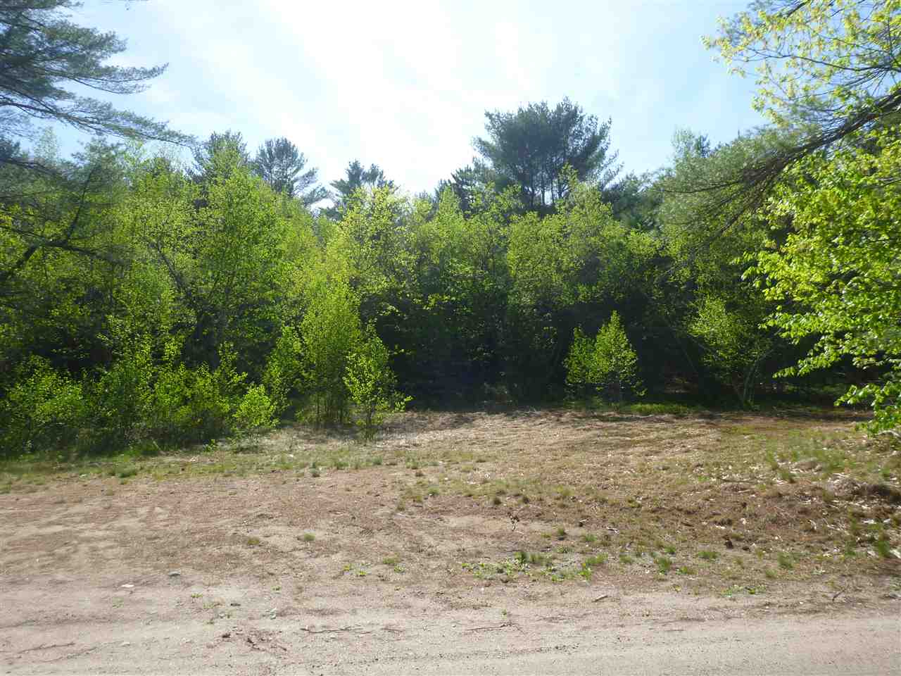 0 Molly Philbrick Road Effingham, NH 03882 - Photo 1 of 15 Gallery Image 1