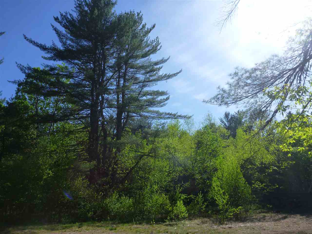 0 Molly Philbrick Road Effingham, NH 03882 - Photo 11 of 15 Gallery Image 11