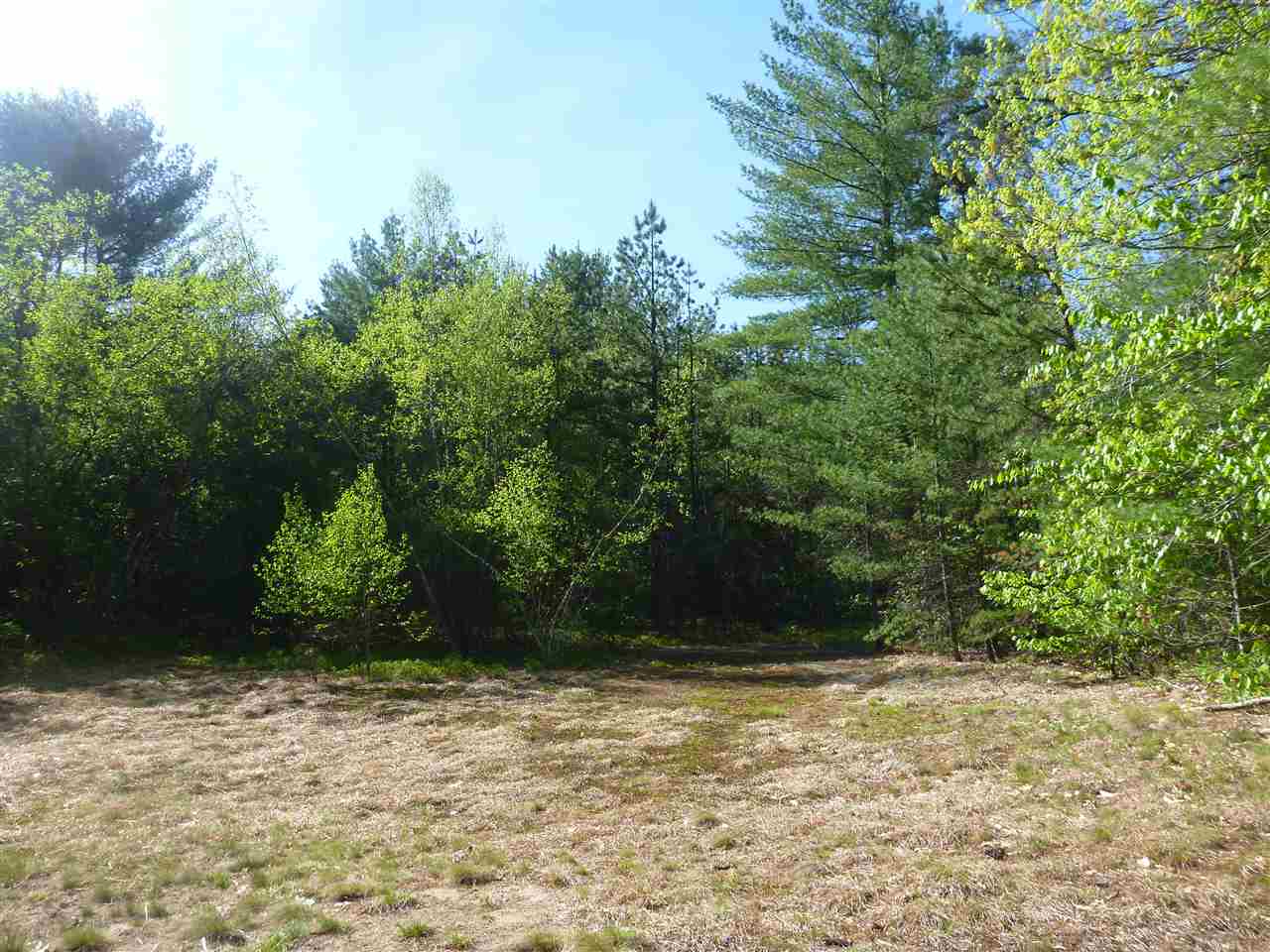 0 Molly Philbrick Road Effingham, NH 03882 - Photo 12 of 15 Gallery Image 12