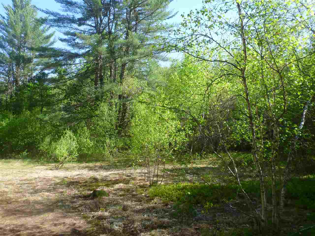 0 Molly Philbrick Road Effingham, NH 03882 - Photo 13 of 15 Gallery Image 13
