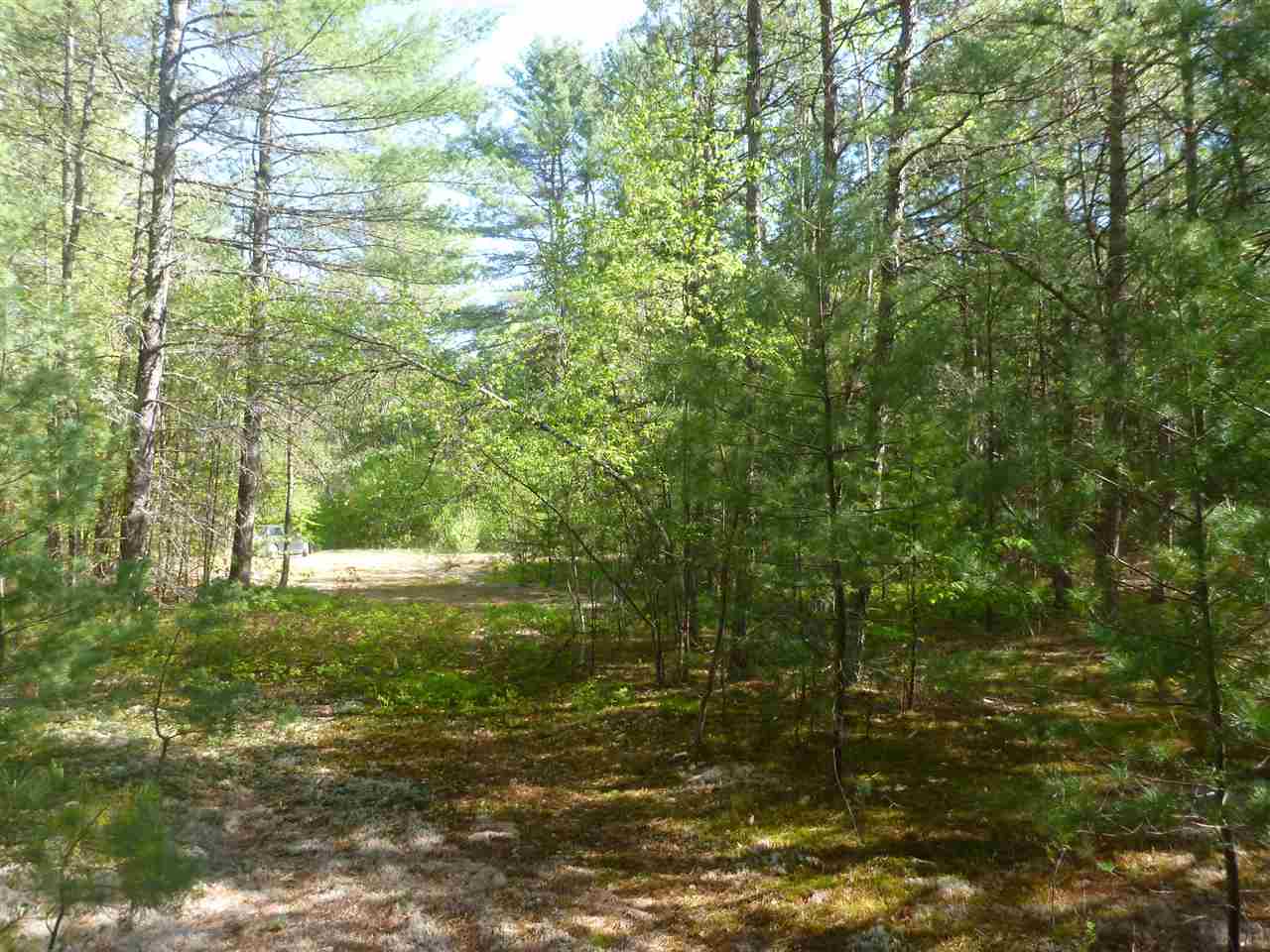 0 Molly Philbrick Road Effingham, NH 03882 - Photo 14 of 15 Gallery Image 14