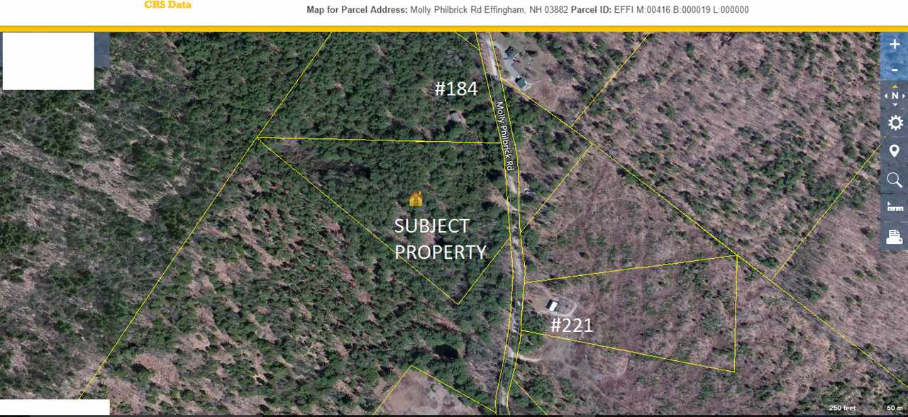 0 Molly Philbrick Road Effingham, NH 03882 - Photo 9 of 15 Gallery Image 9