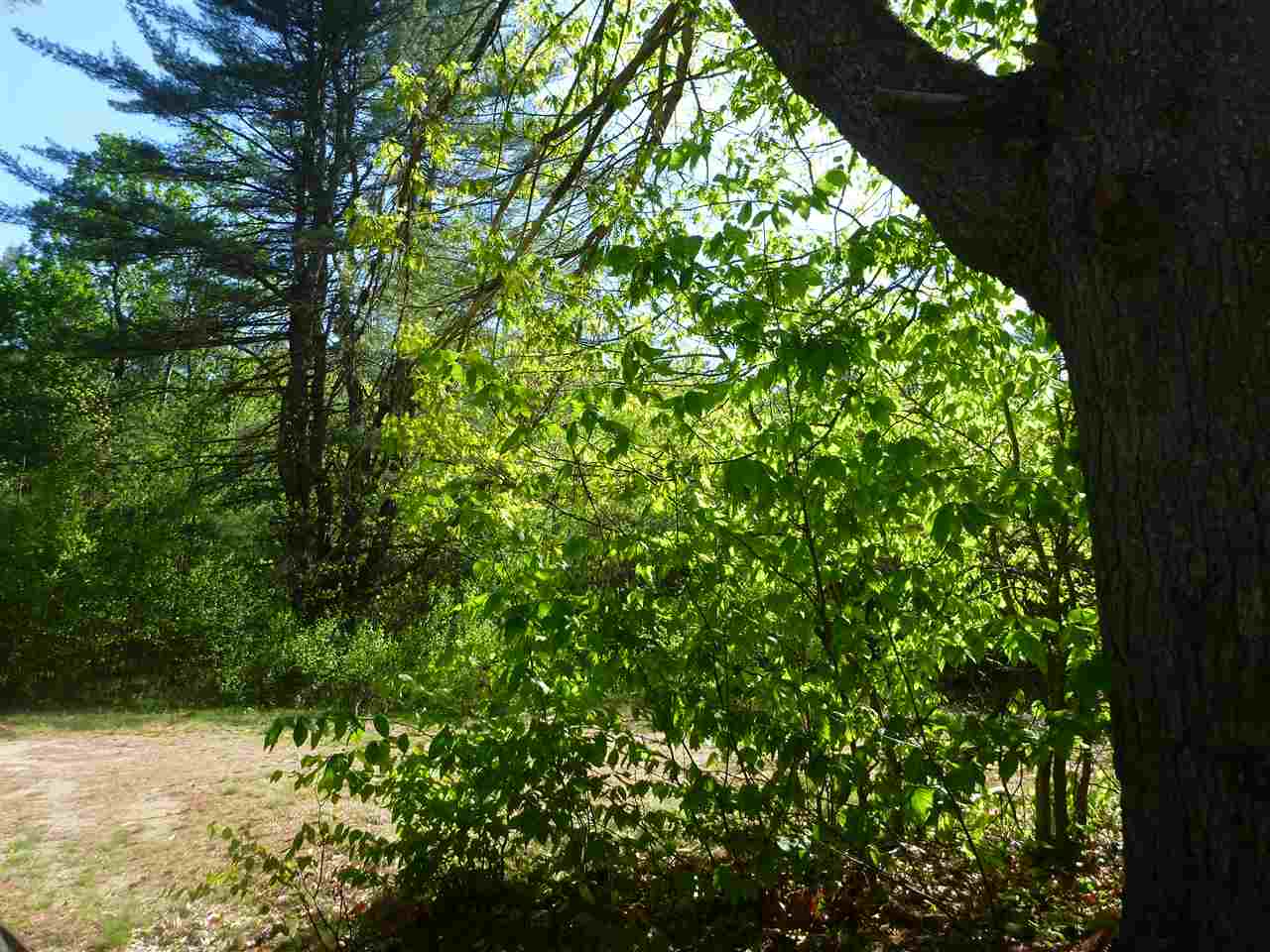 0 Molly Philbrick Road Effingham, NH 03882 - Photo 10 of 15 Gallery Image 10