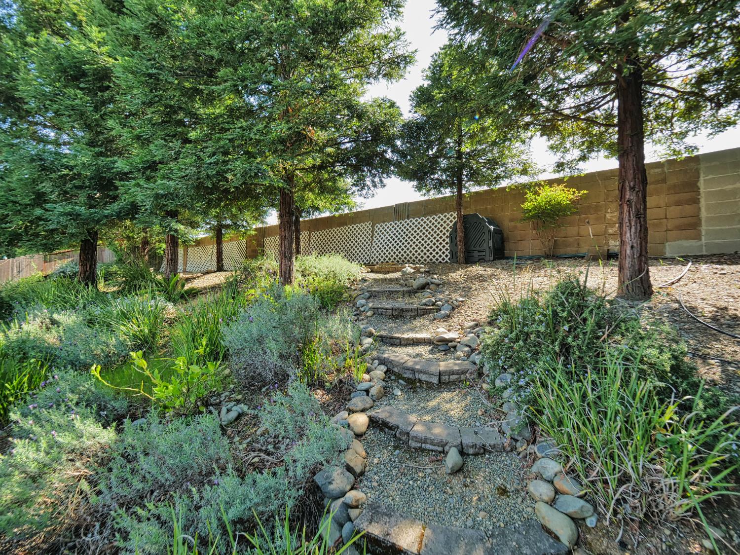 11864 South Carson Way Gold River, CA 95670 - Photo 11 of 69