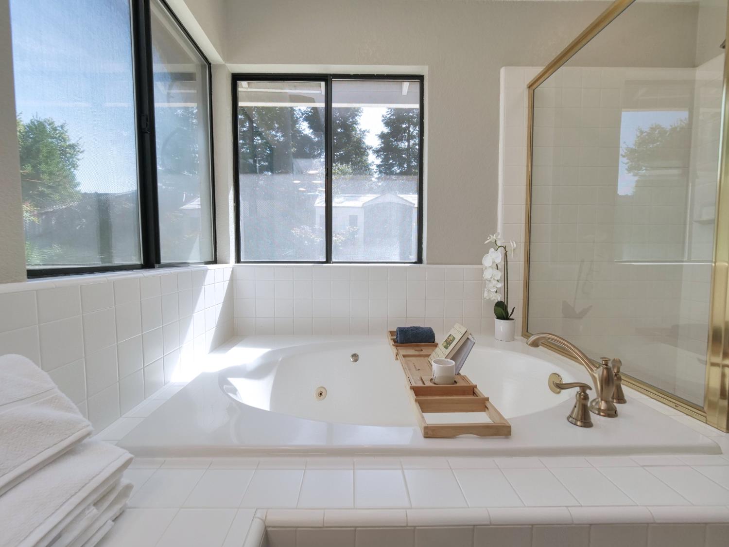 11864 South Carson Way Gold River, CA 95670 - Photo 57 of 69 a bathroom with a sink and a mirror