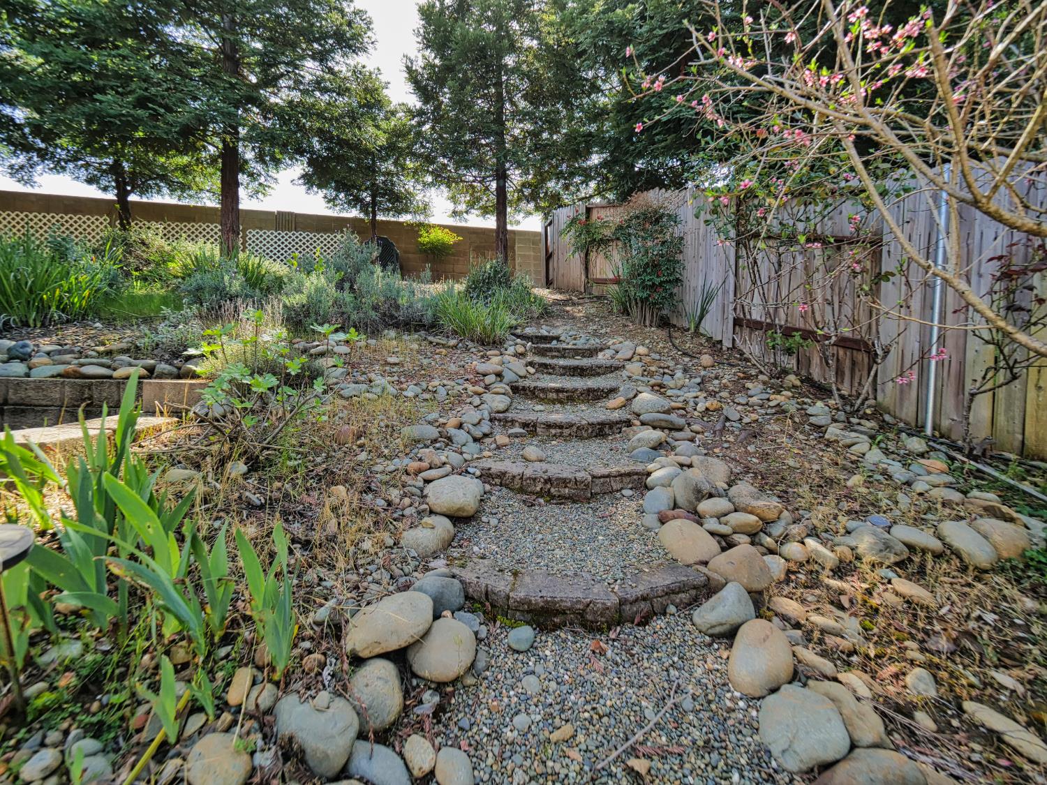 11864 South Carson Way Gold River, CA 95670 - Photo 10 of 69