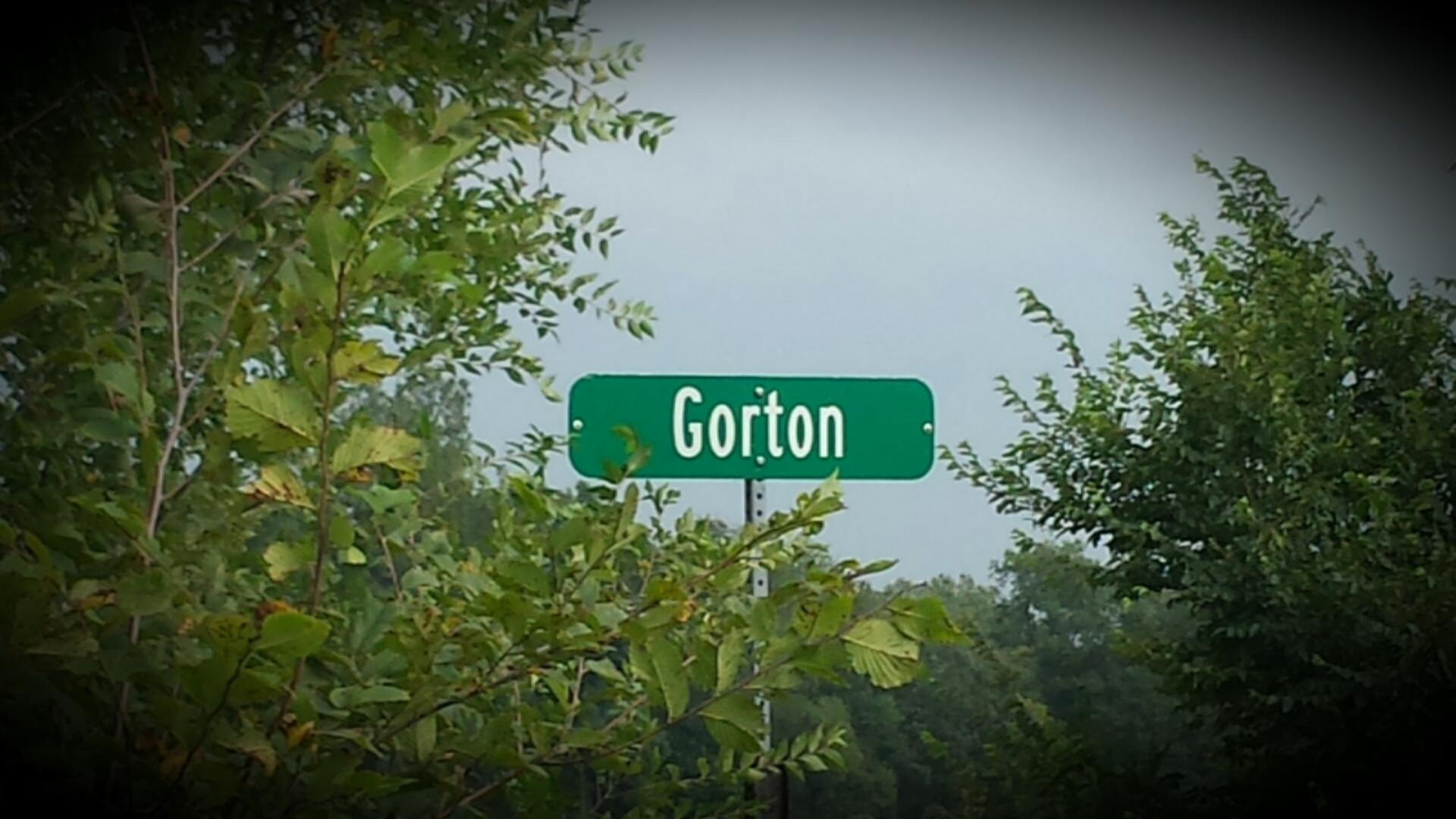 Lot #10 Gorton Road Middleville, MI 49333 - Photo 1 of 12 2015.09.18 198