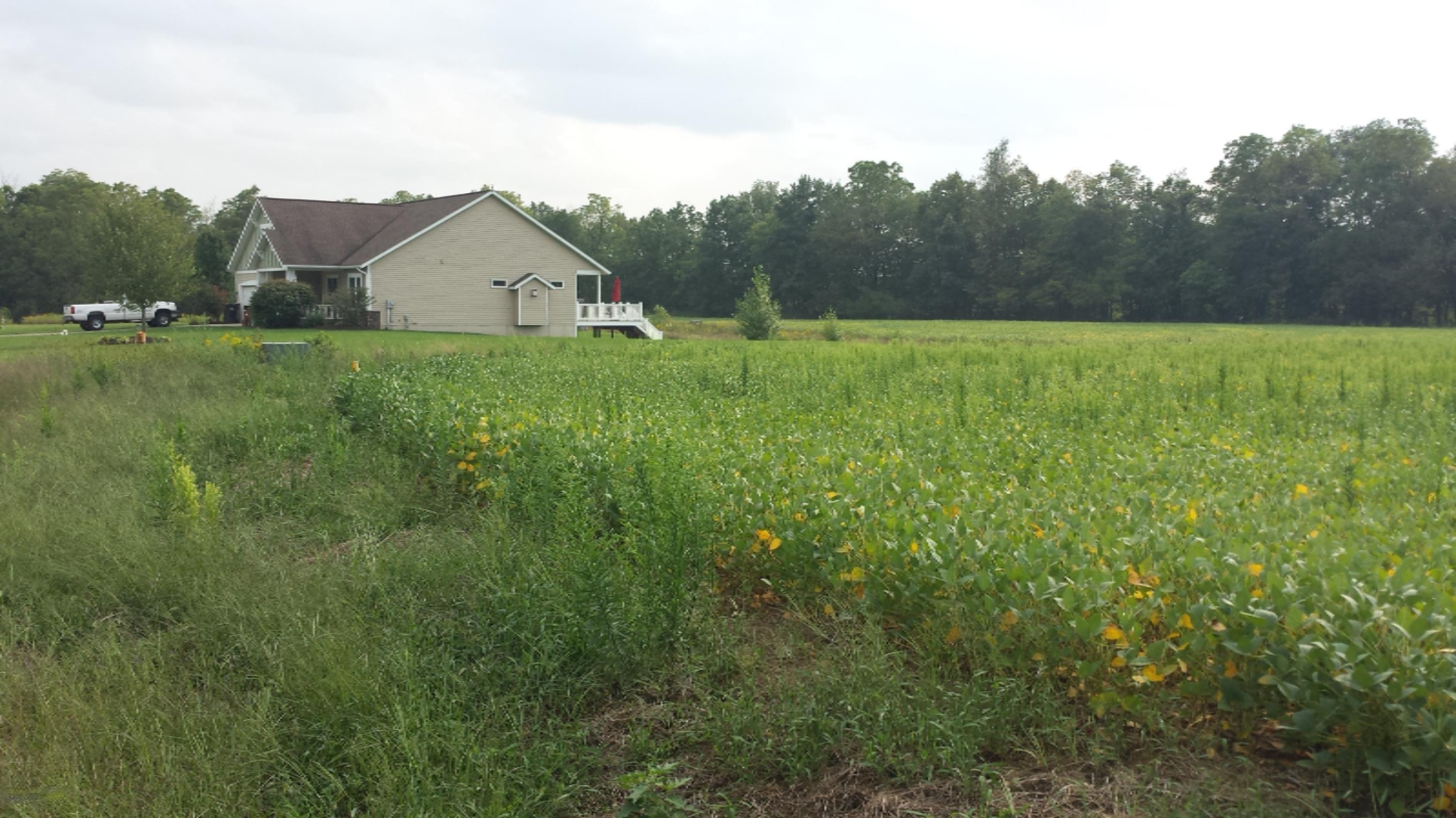 Lot #10 Gorton Road Middleville, MI 49333 - Photo 5 of 12 2015.09.18 101