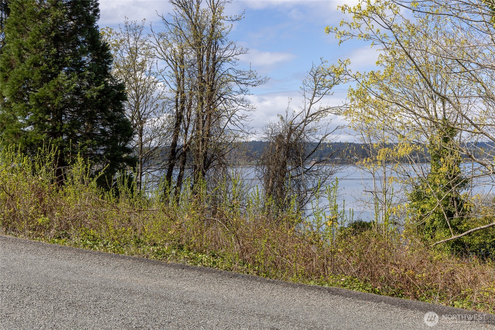 0 Lemons Beach Road West University Place, WA 98466 - Photo 5 of 7