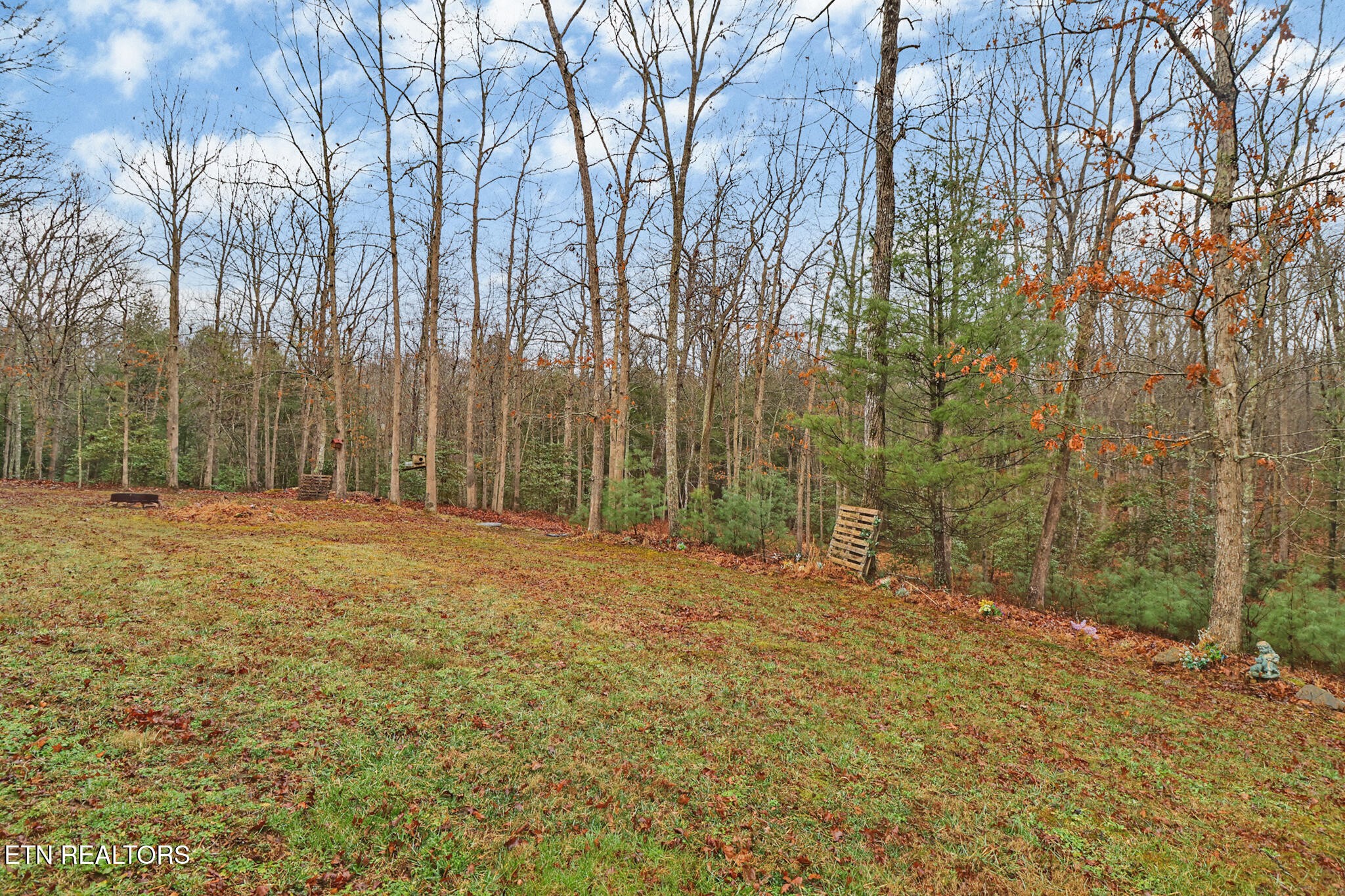 224 Victoria Circle Jamestown, TN 38556 - Photo 14 of 52