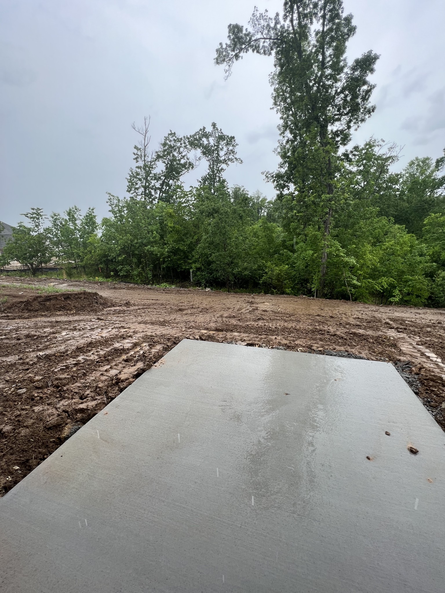 709 Summerline Road Smyrna, TN 37167 - Photo 19 of 20