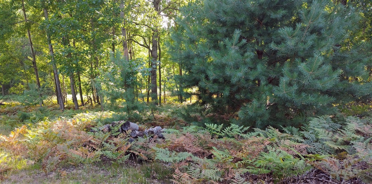 6809 West Deer Road Mears, MI 49436 - Photo 37 of 39 Gallery Image 37