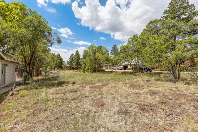 a view of a yard with trees