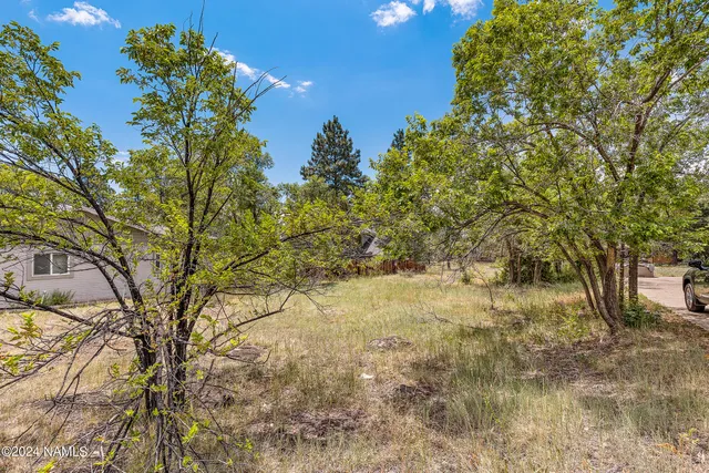 a view of a yard with trees