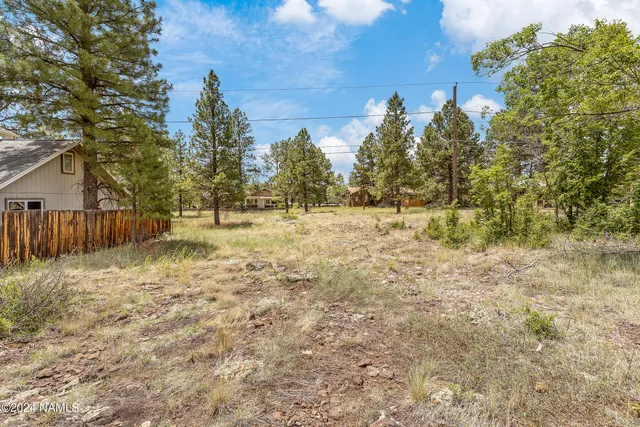 a view of dirt yard with a trees