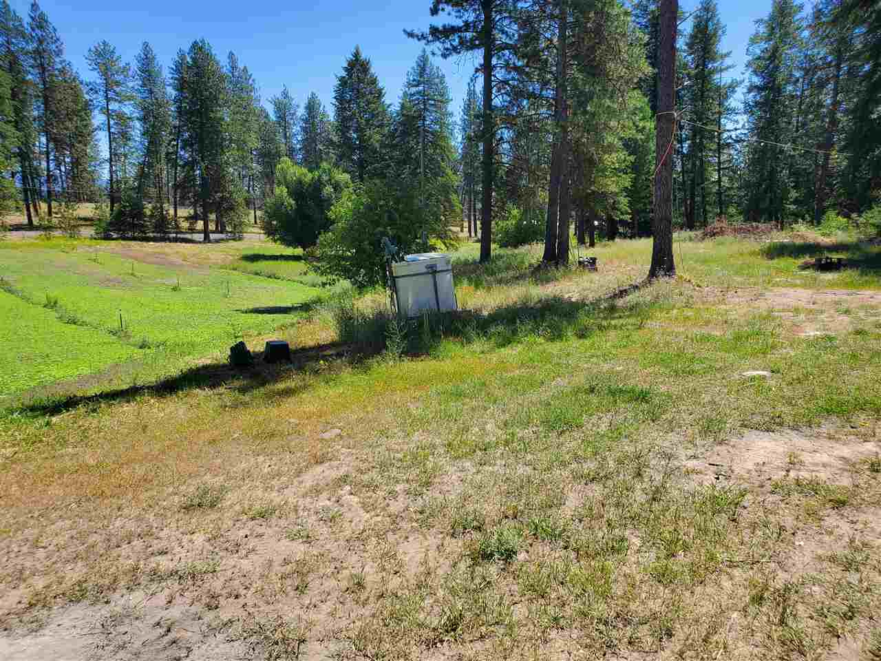 30115 North Milan Road Chattaroy, WA 99003 - Photo 12 of 35
