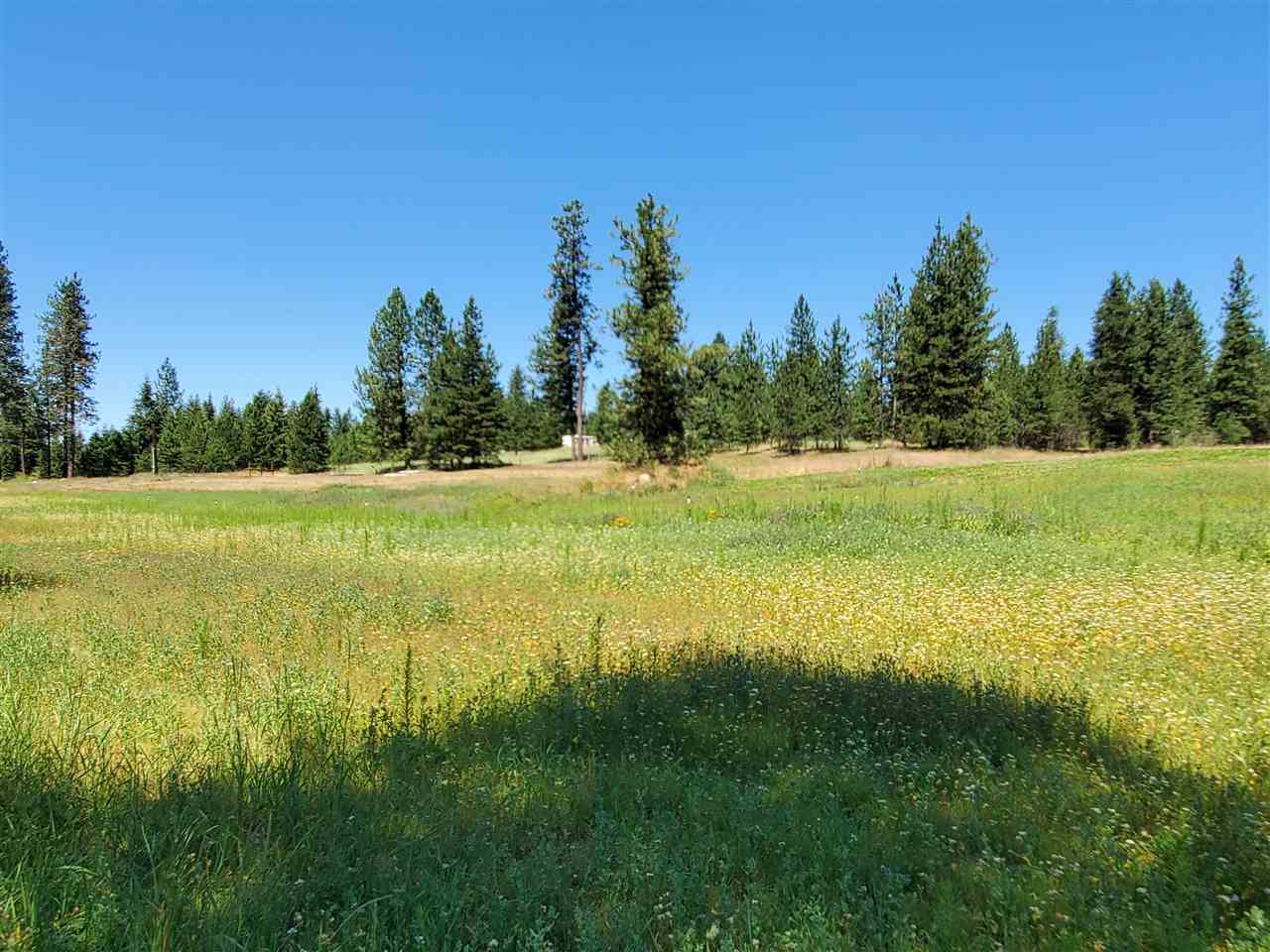 30115 North Milan Road Chattaroy, WA 99003 - Photo 15 of 35