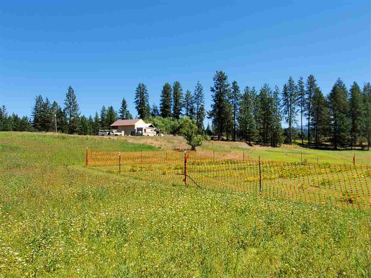 30115 North Milan Road Chattaroy, WA 99003 - Photo 16 of 35