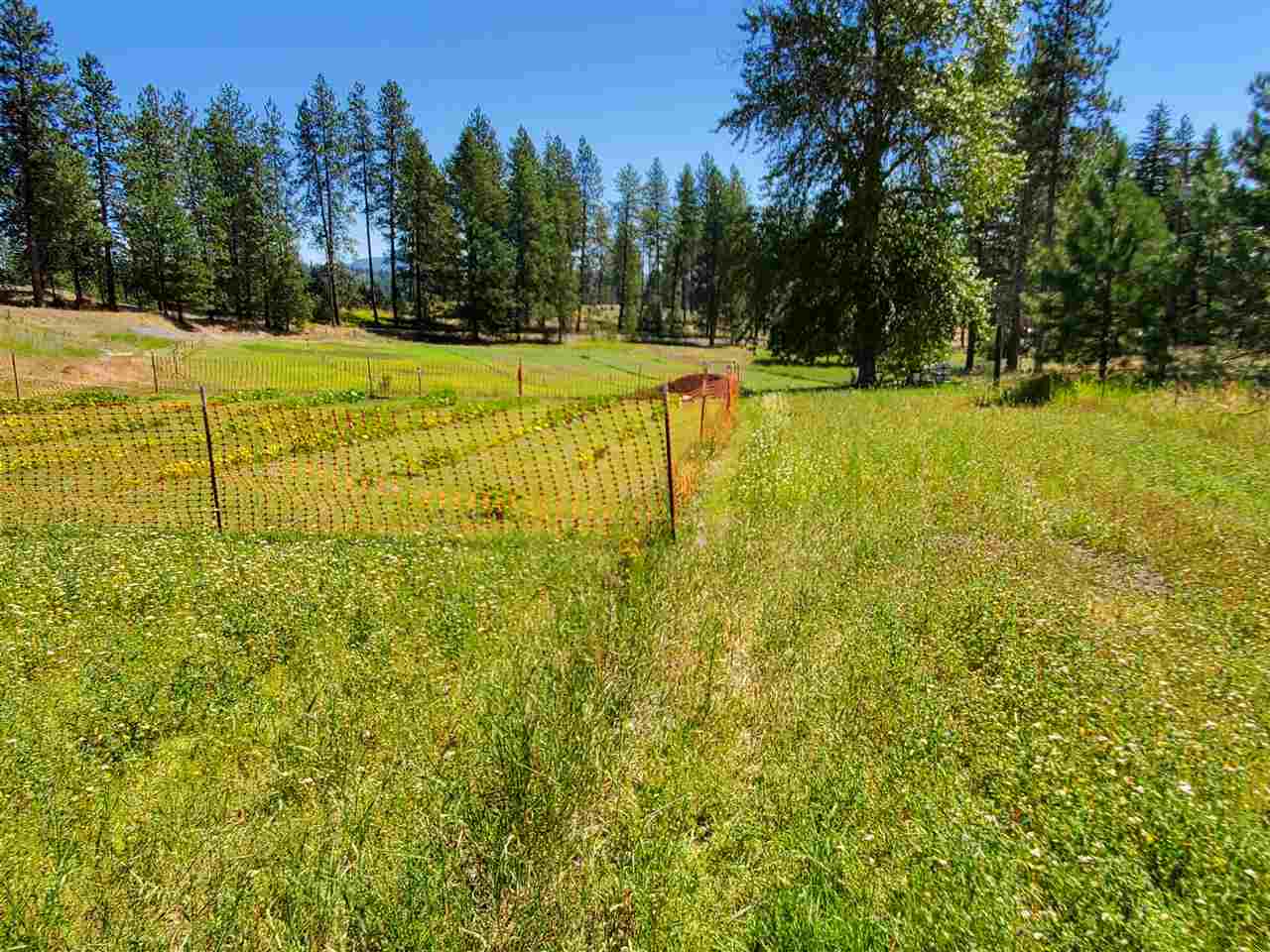 30115 North Milan Road Chattaroy, WA 99003 - Photo 17 of 35