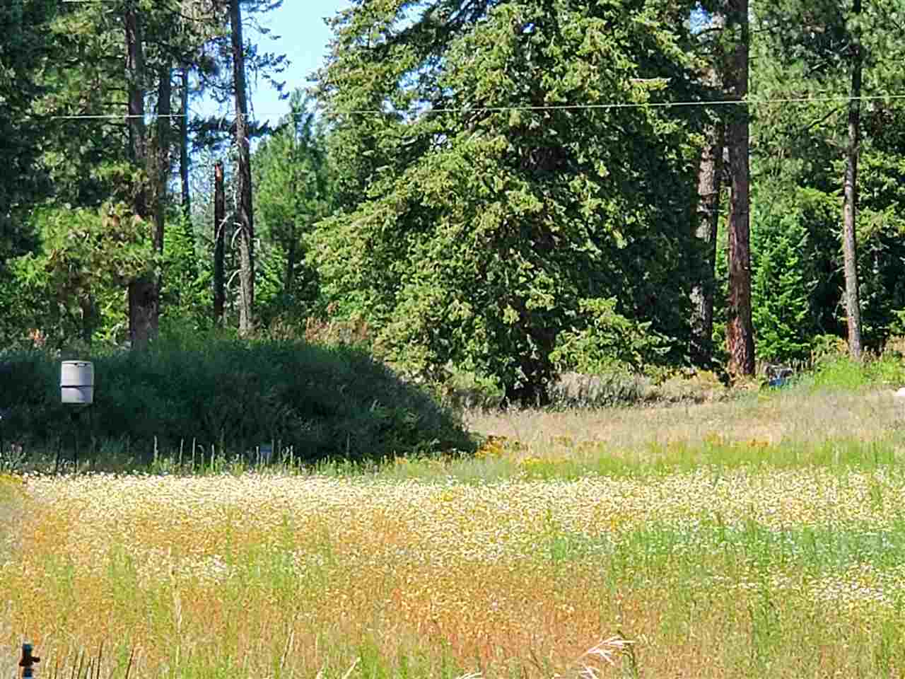 30115 North Milan Road Chattaroy, WA 99003 - Photo 18 of 35