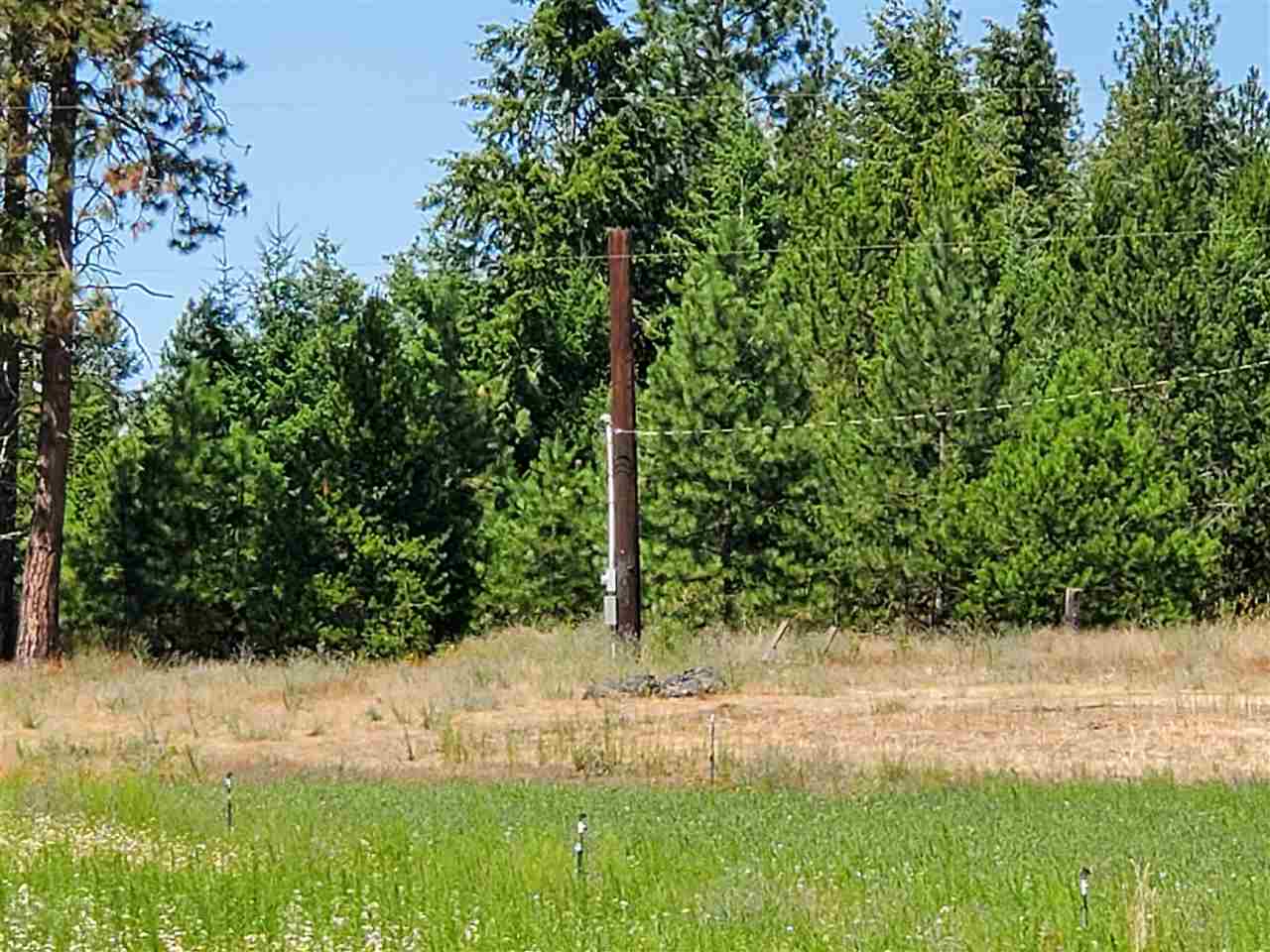 30115 North Milan Road Chattaroy, WA 99003 - Photo 19 of 35
