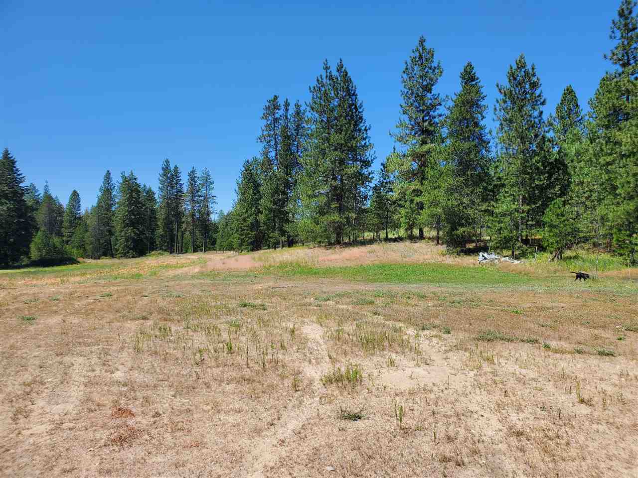 30115 North Milan Road Chattaroy, WA 99003 - Photo 21 of 35