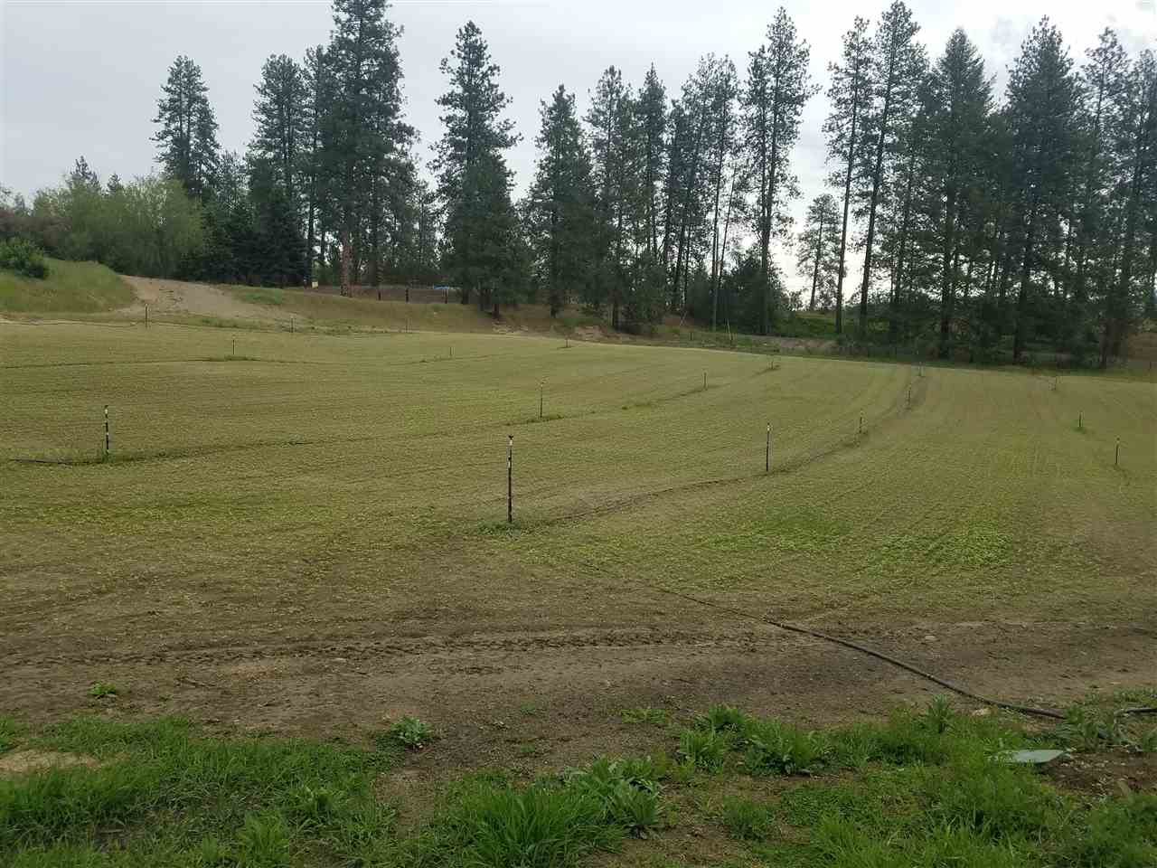 30115 North Milan Road Chattaroy, WA 99003 - Photo 22 of 35