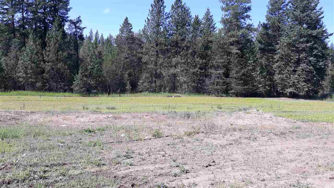 30115 North Milan Road Chattaroy, WA 99003 - Photo 29 of 35